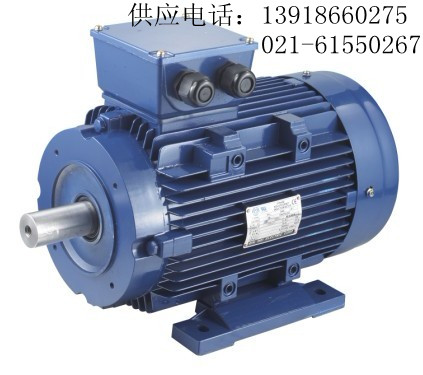 11KW永磁同步電動(dòng)機(jī) 11KW永磁同步電機(jī)求購(gòu) 同步馬達(dá)