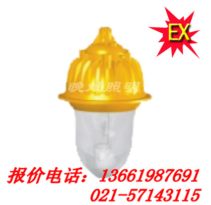 BFC8130內(nèi)場防爆燈，BFC6180，BFC8182上海直銷