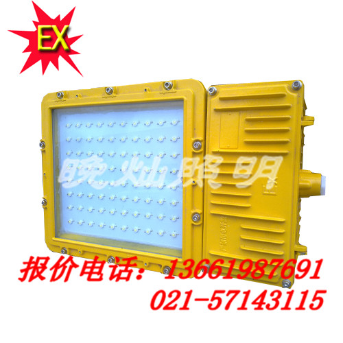 【BFC8110】BFC8110防爆泛光燈 ，上海直銷，歡迎來電