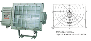 GC51防水防塵方燈、BSD 系列防爆投光燈