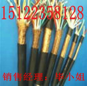 礦用屏蔽監(jiān)控電纜MHYVRP（價(jià)格）礦用屏蔽監(jiān)控電纜PUYVRP（