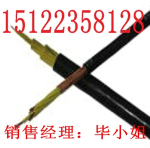 礦用監(jiān)控電纜-MHYVRP系列網線-價格