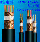 DJYPVPӋ(j)C(j)|450/750