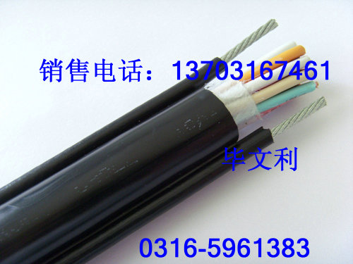 ȼӋ(j)C(j)|_ZR-DJYVP;ZR-DJYPV;ZR-DJYP