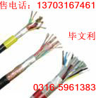 Sr(yng)̖|PTYA23 61о