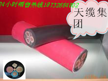 JHS防水電纜多少錢一米？報(bào)價(jià)3*50+1*16平方電纜價(jià)格