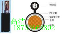 誠(chéng)信為本-50對(duì)架空電話(huà)線(xiàn)廠(chǎng)家
