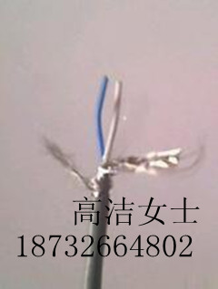 提供齊全-RVSP/2*0.3屏蔽雙絞線的價(jià)格/報(bào)價(jià)