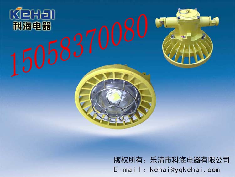 礦用隔爆型LED巷道燈，礦用LED巷道燈價(jià)格，DGS-18/127