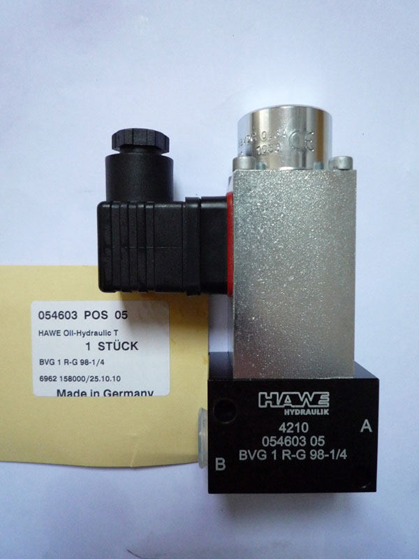 BVG1R-G98-1/4  hawe ֹQy