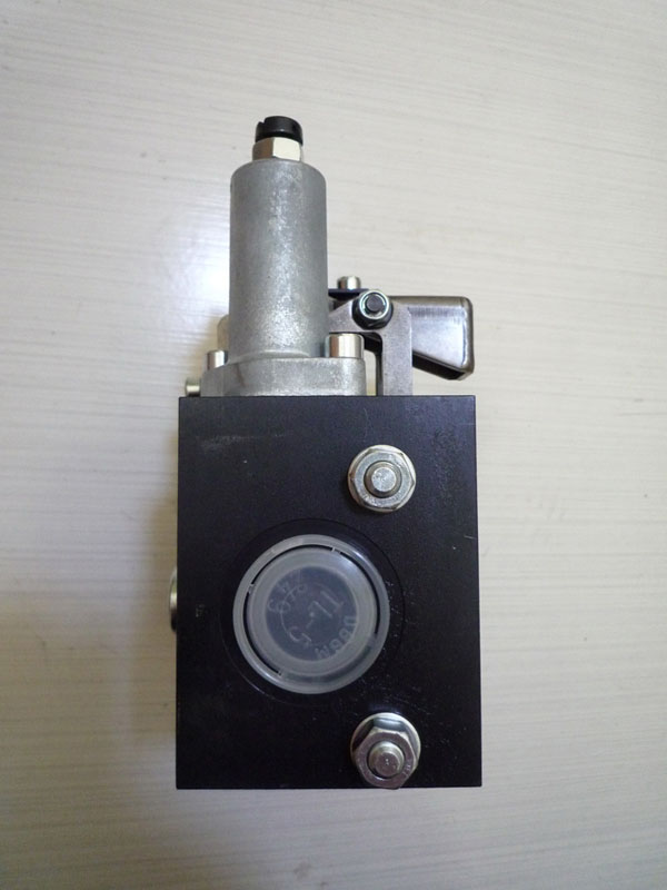 DL41-3-D-C-E1-3-160  hawe MC