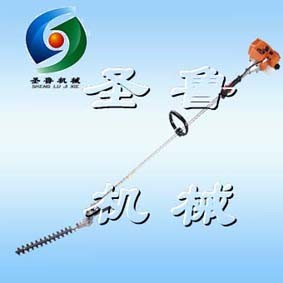 ๦ܸ֦֦   ɽ|ʥCе