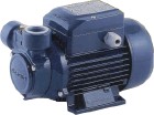 PQ60水泵，PEDROLLO PQ60水泵