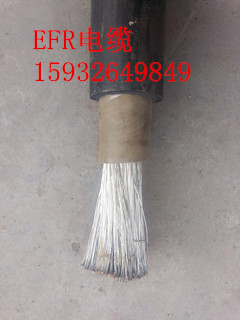 ZC-ERF0.6/1KV͉ȼ|r