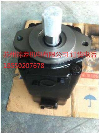 PV20-2L1D-K02 錦幕總經(jīng)銷，DENISON丹尼遜柱塞泵