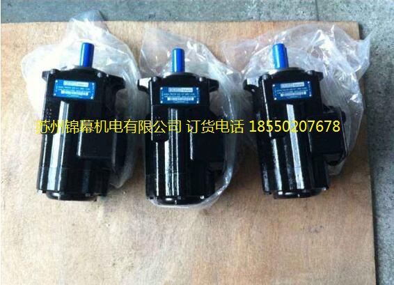 T6D-020-1L01-B1 促銷(xiāo)美國(guó)DENISON丹尼遜葉片泵