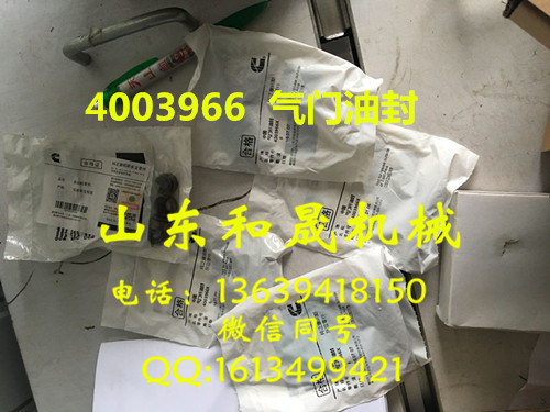 ˹QSM11l(f)(dng)C(j)ÚTͷ 4003966 ֱN