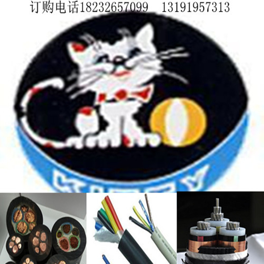 pɫӵؾBVR16mm2СҎ(gu)ӆ