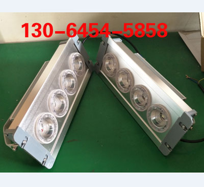 NFE9121B免維護LED應(yīng)急頂燈 低頂燈