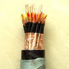 ZR-DJYVP 12*2*0.75ȼӋC|