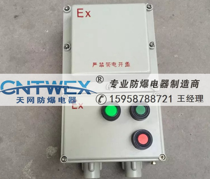 防爆磁力啟動器 防爆電磁啟動器 防爆磁力啟動器控制電機啟動停止