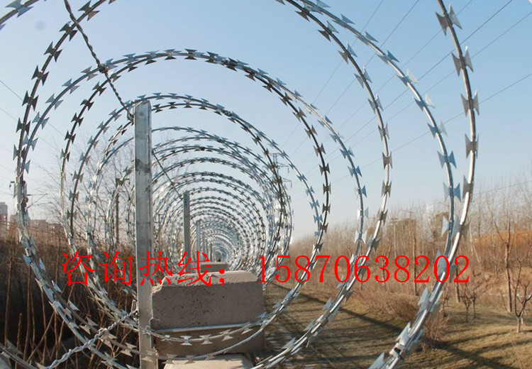 ŽFzW(wng) FzW(wng)Ҏ(gu) ŽFzW(wng)o(h)ڈDƬ\FzW(wng)