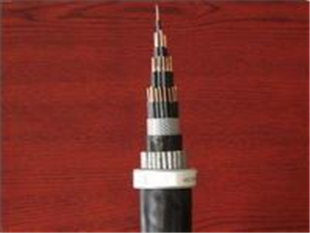 |RVSP-300/500Vl(f)r