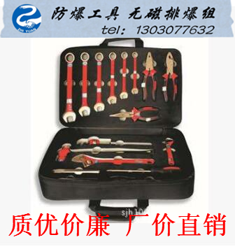 供應(yīng)上海無火花工具組 橋防牌防爆工具套裝 廠價直銷 報(bào)價低