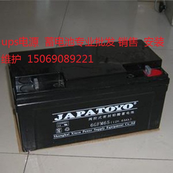 ups電源免維護蓄電池6GFM65東洋蓄電池JAPATOYO電池現(xiàn)貨