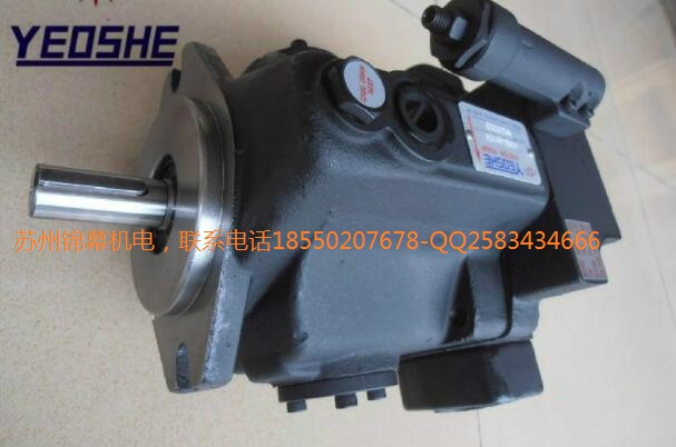 V25A2L10XM(jn)V25A1L10X_YEOSHEV׃