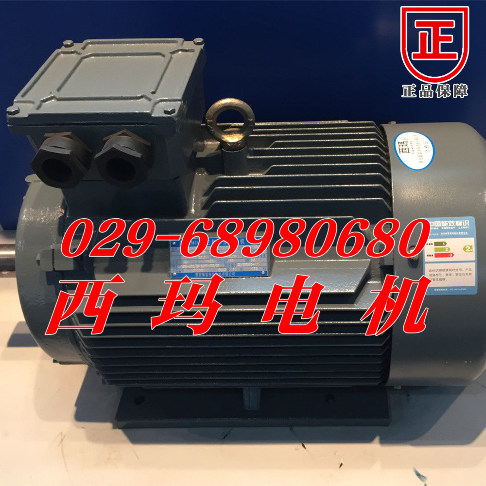 YGM132S2-2/7.5KW泰富西瑪交流電動機