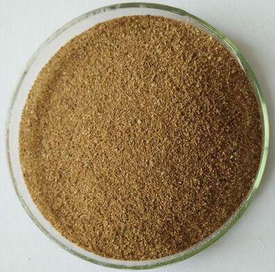 深圳激活菌價(jià)格，激活菌種污水處理技術(shù)廠家