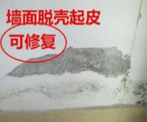 蘇州新區(qū)專(zhuān)業(yè)刷墻,刮膩?zhàn)?墻面刷新,發(fā)霉,裂縫,脫落等修補(bǔ)