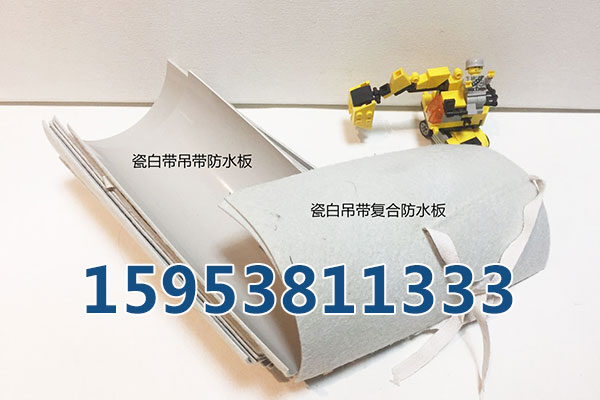臨夏30KN雙向塑料格柵、廠家發(fā)貨快好價(jià)格低