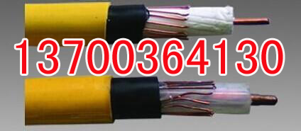 HPVVC(j)(chng)|