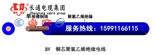 國標(biāo)保檢BV 25平方電線