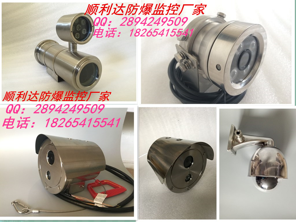 順利達(dá)防爆攝像機(jī)，?？荡笕A，機(jī)芯可選配，紅外網(wǎng)絡(luò)防爆球機(jī)