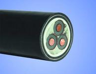 zr-yjv3*25ȼ|10kv Ҏ(gu)Rȫ