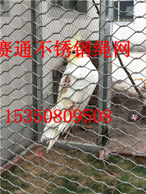 PKW(wng)ʲô P䓿һҪX