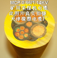 MCPTJúCO(jin)ҕܛ|