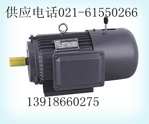 YEJ225M-4制動(dòng)電機(jī)/YEJ225M-4制動(dòng)電機(jī)、配件（圖）