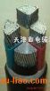 交聯(lián)電纜YJLV22 YJLV22電纜