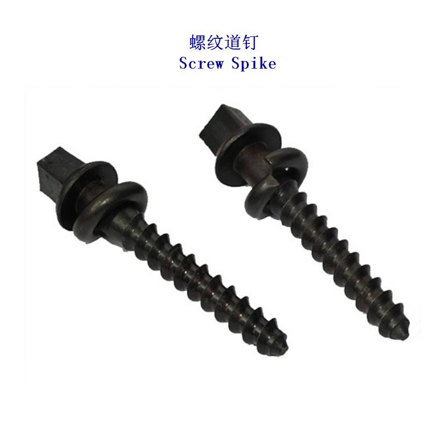 _˹Ss24ݼya(chn)S