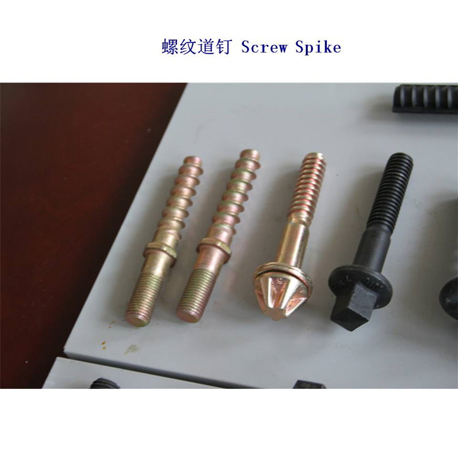 e4.6a(chn)S