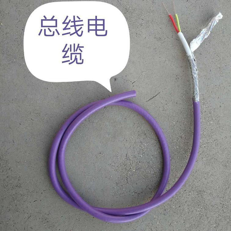 天聯(lián)鋼絲鎧裝控制電纜WD-MKYJYP33-20*0.75