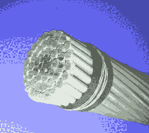CʡcЏSֱNоXg