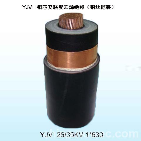湖南計算機(jī)電纜DJYPVP欣華強(qiáng)電纜DJYPVP-1*2*1.5高溫計算機(jī)電纜