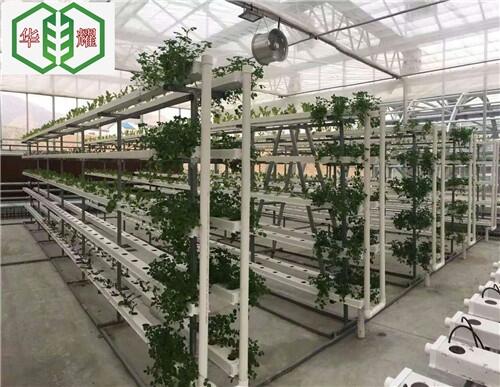 蔬菜立柱式無土栽培架制造流程華耀現(xiàn)貨批發(fā)