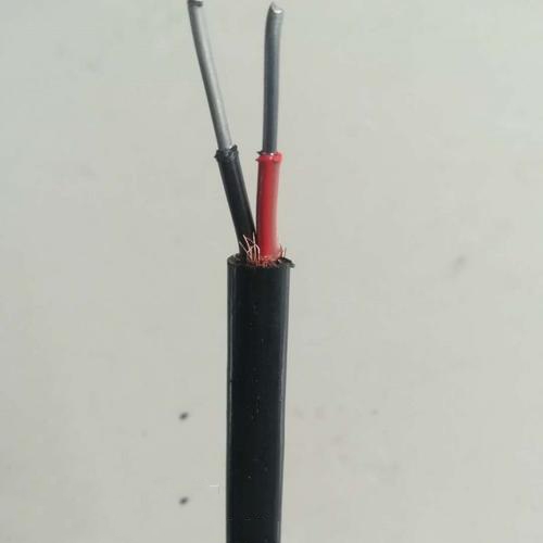 aEX-GS-FV100P1S/쿵ֱN