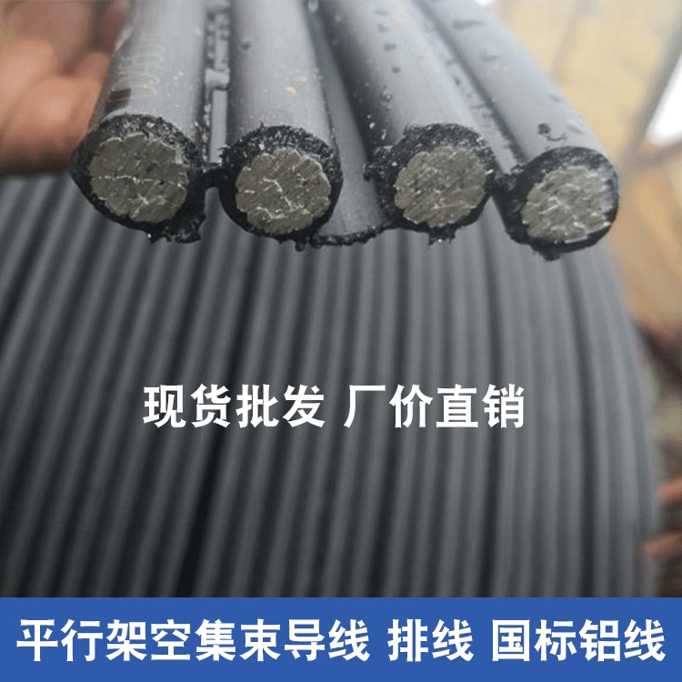 (do)(xin)黨(xin)bsJKLYJ-10KV-4*50S